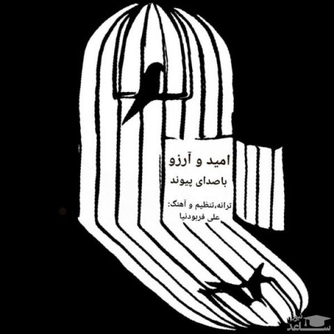 دانلود آهنگ امید و آرزو از پیوند