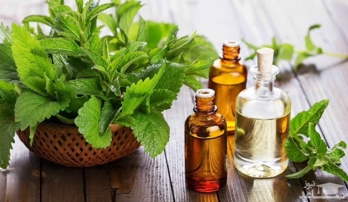 زیباتر شدن پوست با روغن نعنا