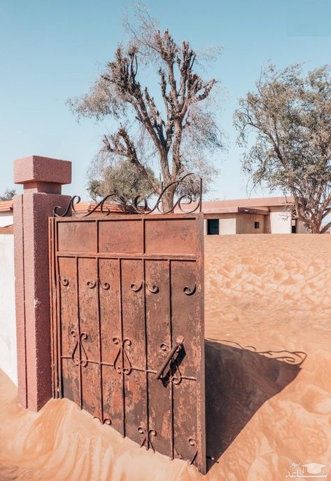تصویر
