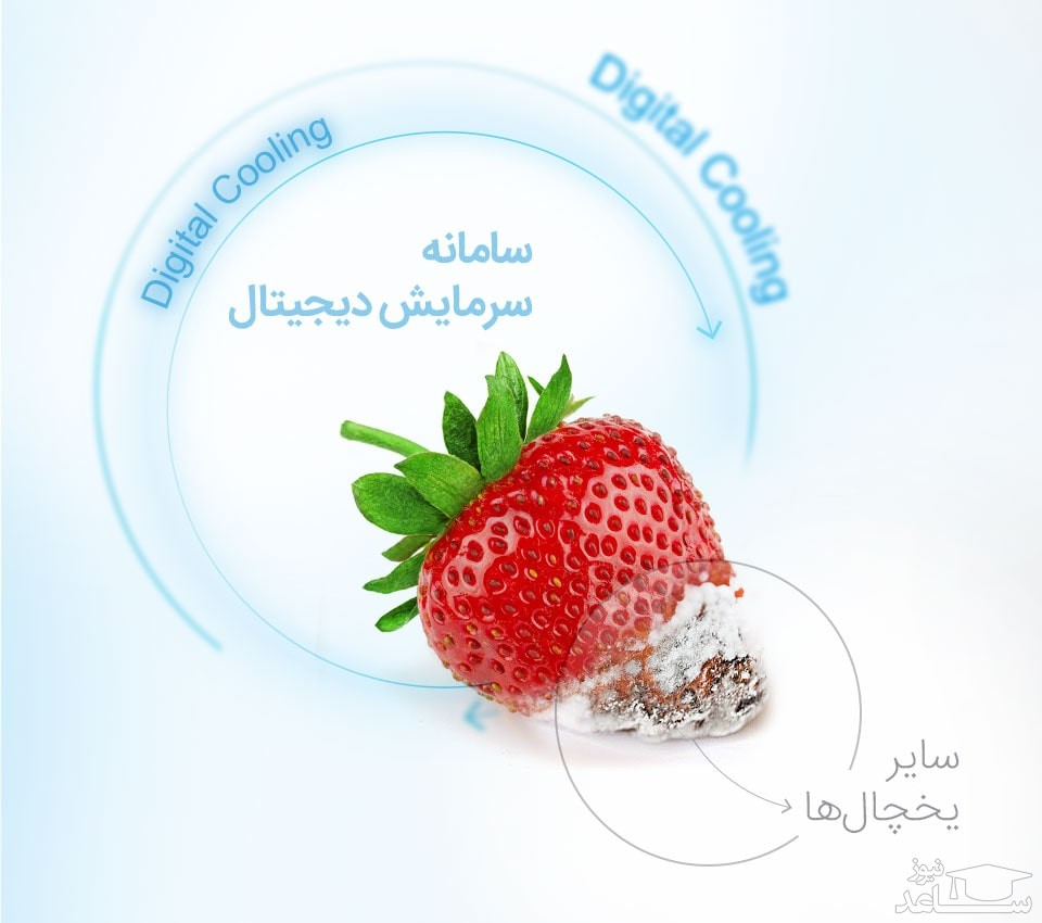 یخچال و فریزر ساید بای ساید دوو مدل D4S-0036MW