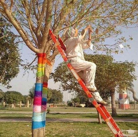 تصویر
