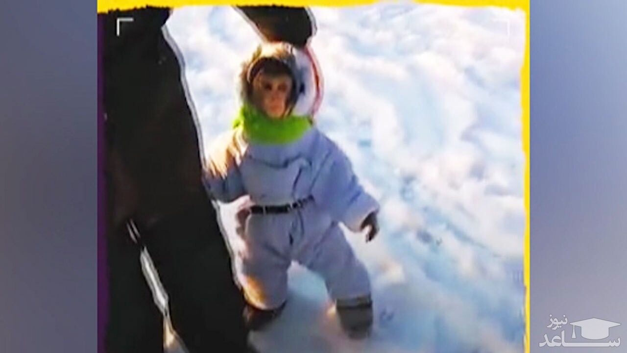 (فیلم) خوشحالی و برف بازی یک میمون در ترکیه 
