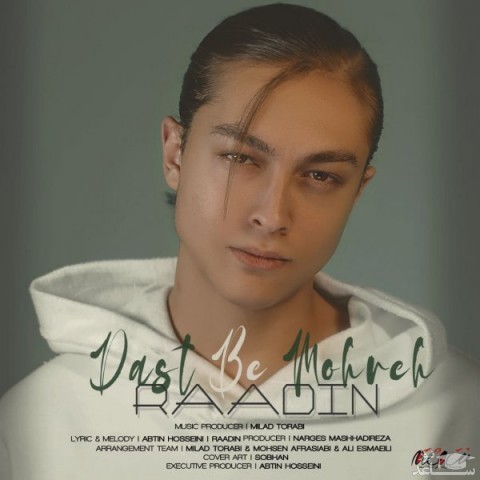 دانلود آهنگ دست به مهره از رادین