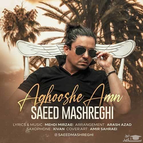 دانلود آهنگ آغوش امن از سعید مشرقی