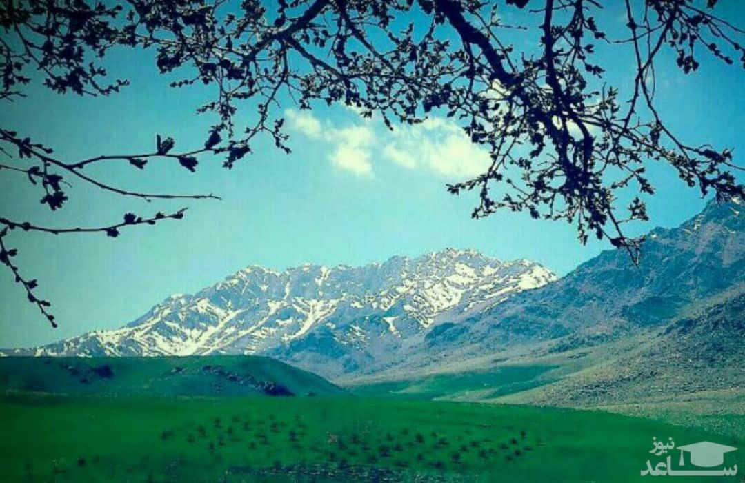 منطقه شکار ممنوع امروله و دالاخانی صحنه