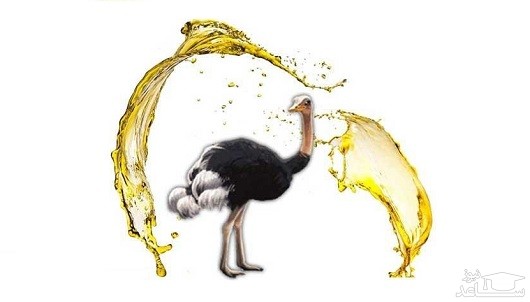 فواید روغن شتر مرغ بر مو