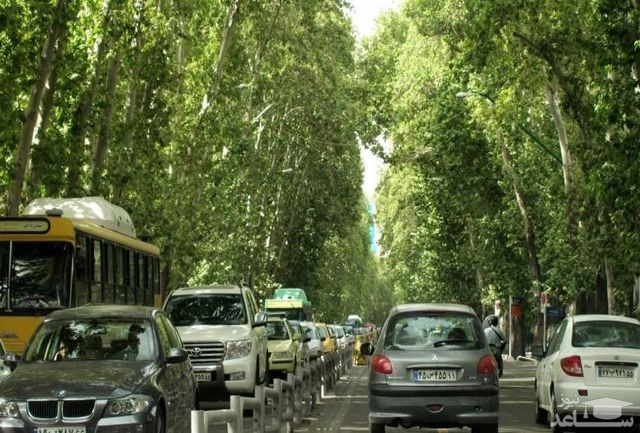 نصب شنود در درختان تهران!