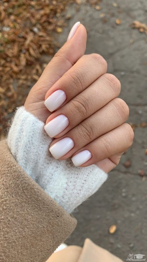 طرح ناخن اداری