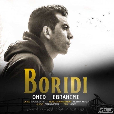 دانلود آهنگ بریدی از امید ابراهیمی