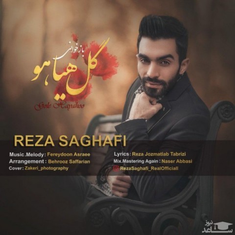 دانلود آهنگ گل هیاهو از رضا ثقفی