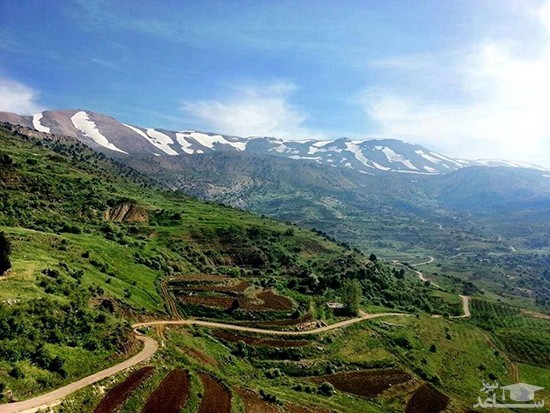 تصویر