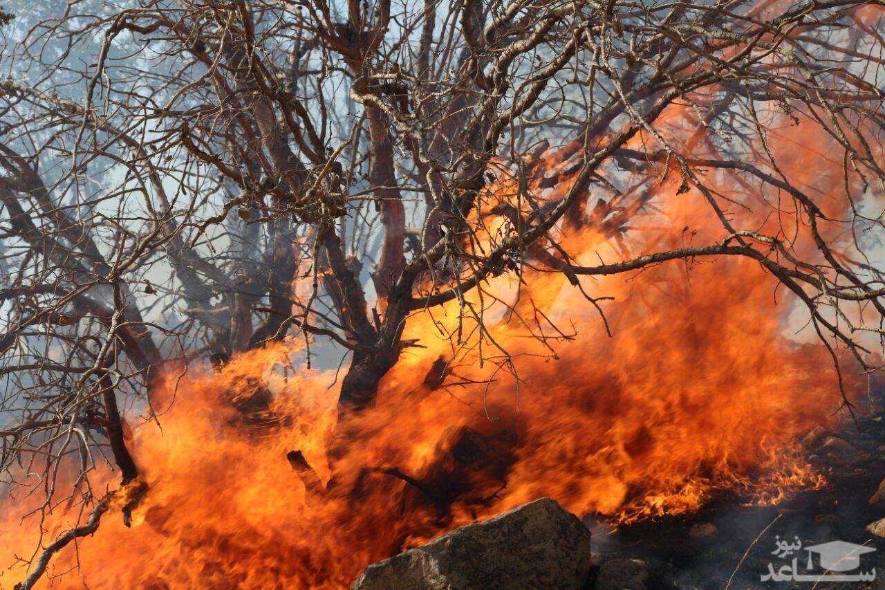 نبرد با آتش در جنگل‌های توسکستان ادامه دارد/بسیج امکانات و نیروها