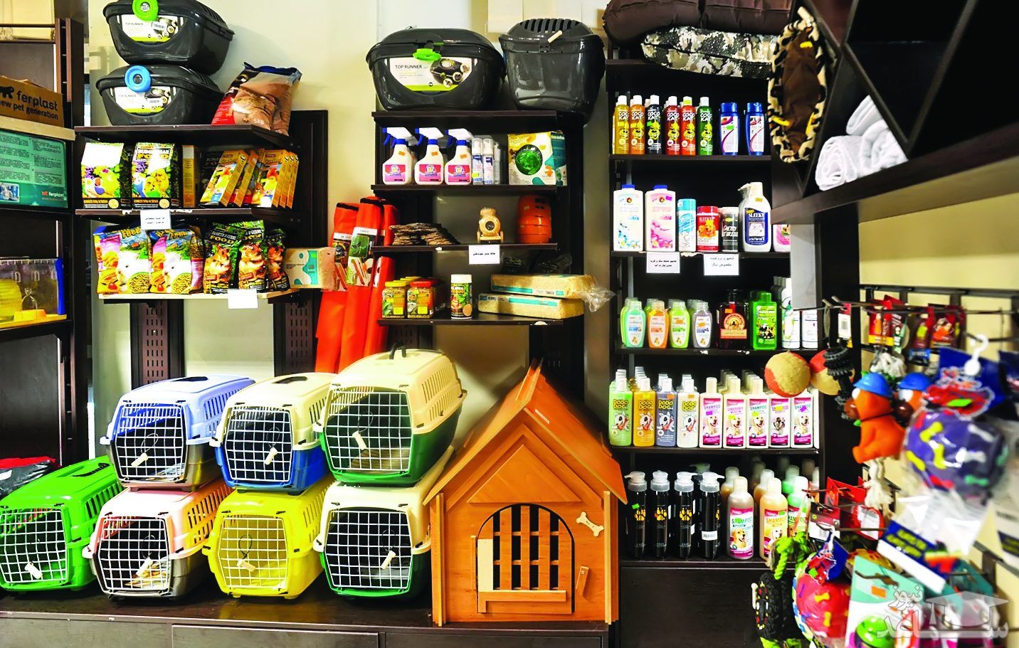 پت شاپ آنلاین کت مت، دوستی و همراهی برای حیوان خانگی شما