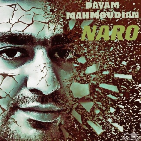 دانلود آهنگ نرو از پیام محمودیان