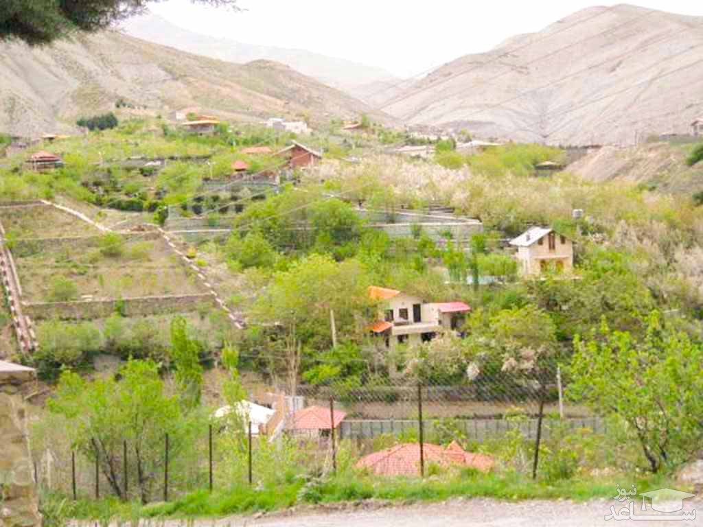 روستای کردیان