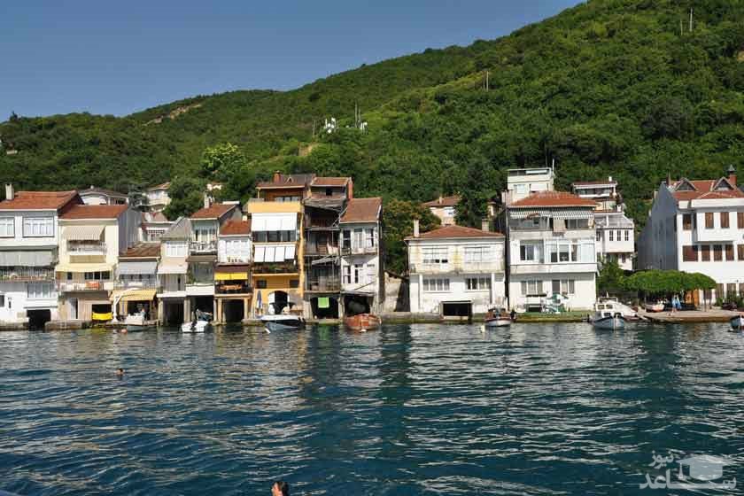 آنادولو کاوایی 