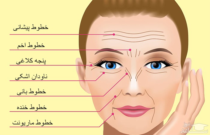 شخصیت شناسی از روی چین و چروک های صورت