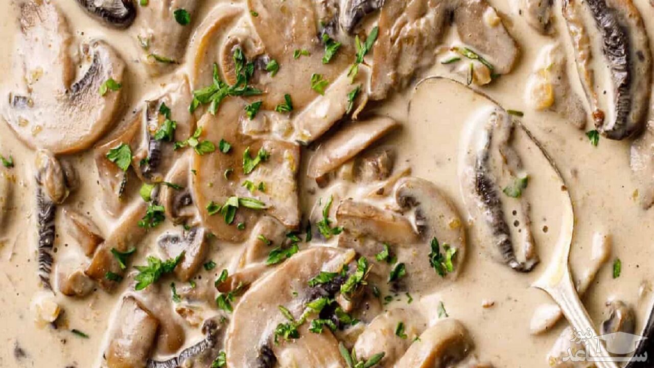 روش تهیه سس قارچ ساده