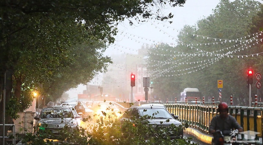 سقوط درخت در تهران بر اثر طوفان شدید باعث وحشت شد!