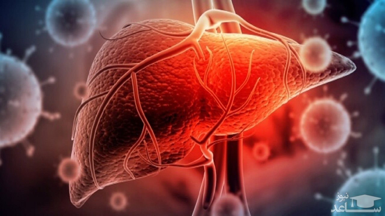 هشدار سازمان جهانی بهداشت در خصوص یک ویروس خطرناک