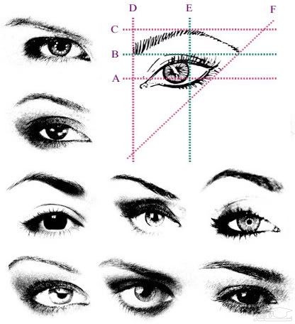 تعیین مدل ابرو با توجه به فرم چشم ها
