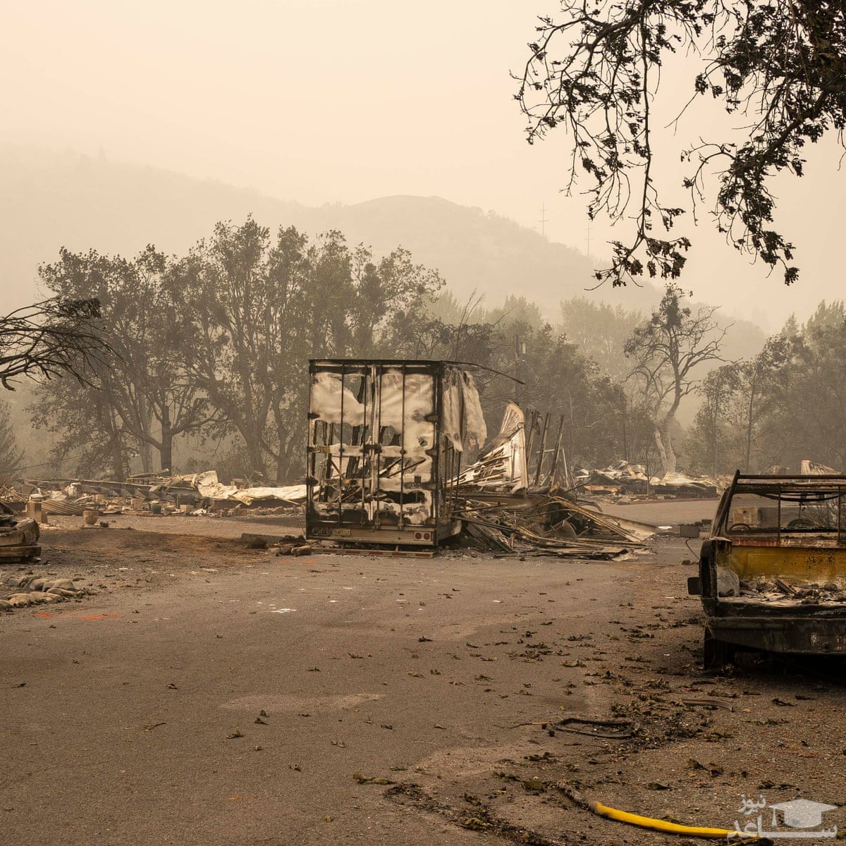 تبدیل 4.5 میلیون هکتار جنگل به زغال در آتش سوزی اورگون!