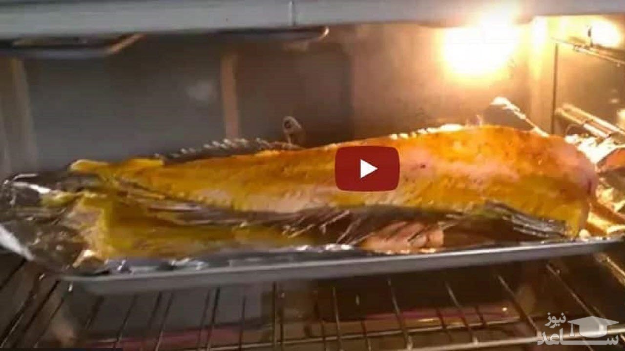 صحنه عجیب پرش ماهی در داخل فر اجاق گاز! +فیلم