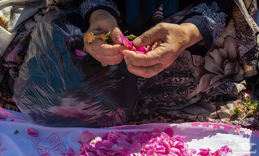 تصویر