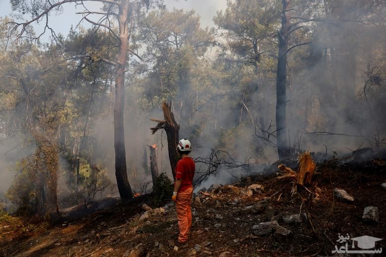 آتش سوزی جنگلی در ترکیه
