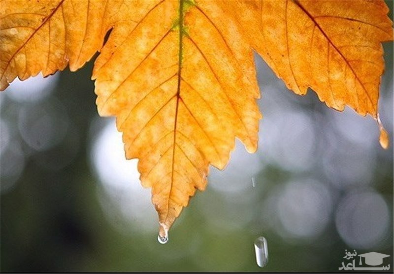 ورود سامانه بارشی جدید از شنبه به کشور