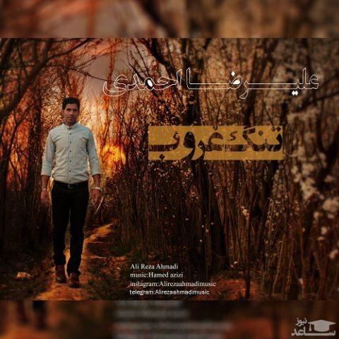 دانلود آهنگ تنگ غروب از علیرضا احمدی