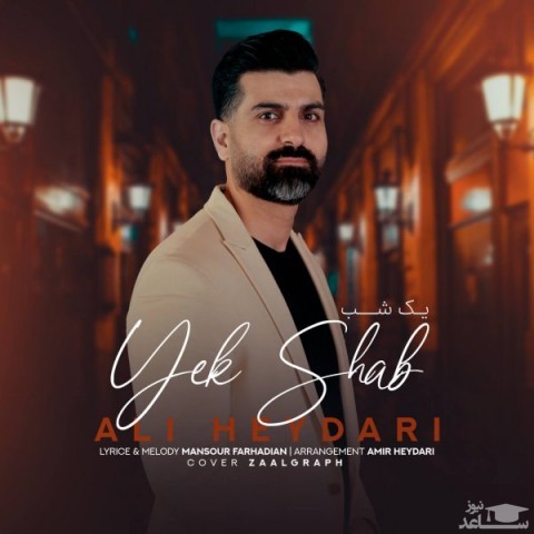 دانلود آهنگ یک شب از علی حیدری