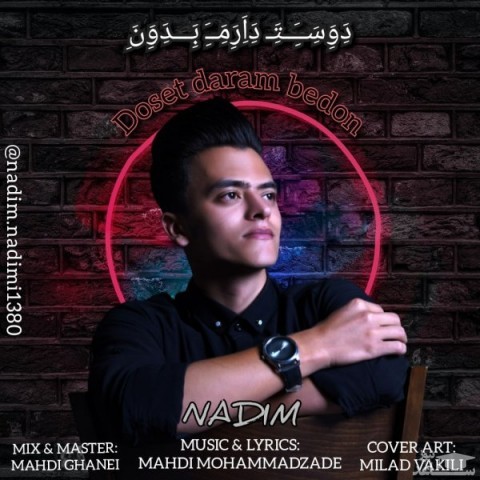 دانلود آهنگ دوست دارم بدون از ندیم ندیمی