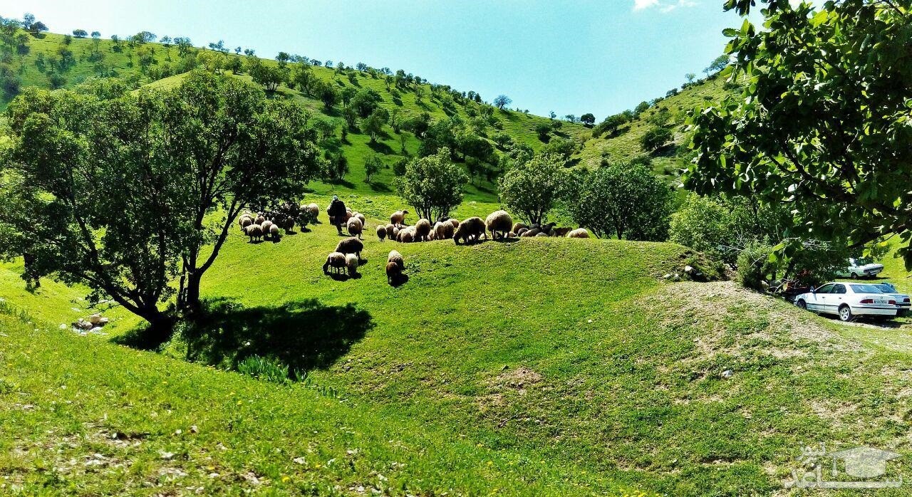 معرفی جاذبه های گردشگری و جاهای دیدنی گیلان