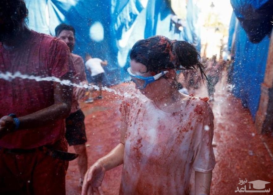 جشنواره جنگ با گوجه