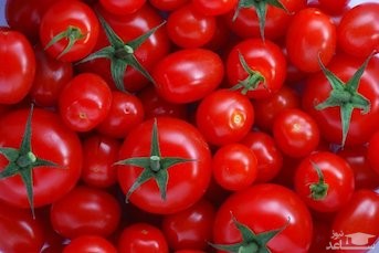 کاهش قیمت گوجه‌فرنگی به دی‌ماه موکول شد