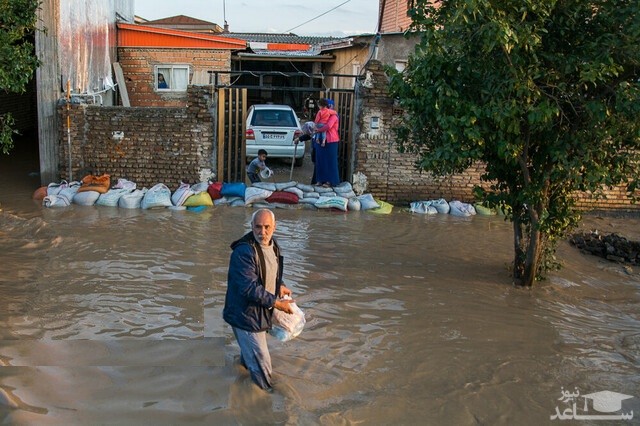 هشدار نسبت به خطر بروز "سالک" در مناطق سیل‌زده