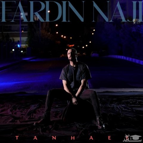 دانلود آهنگ تنهایى از فردین ناجی