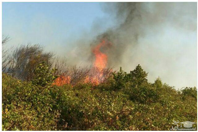 آخرین وضعیت آتش سوزی جنگل‌های ارسباران