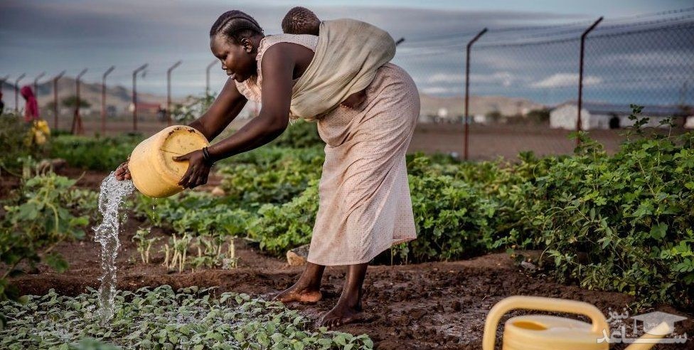 دیدنی های امروز یکشنبه 21 مهر 98