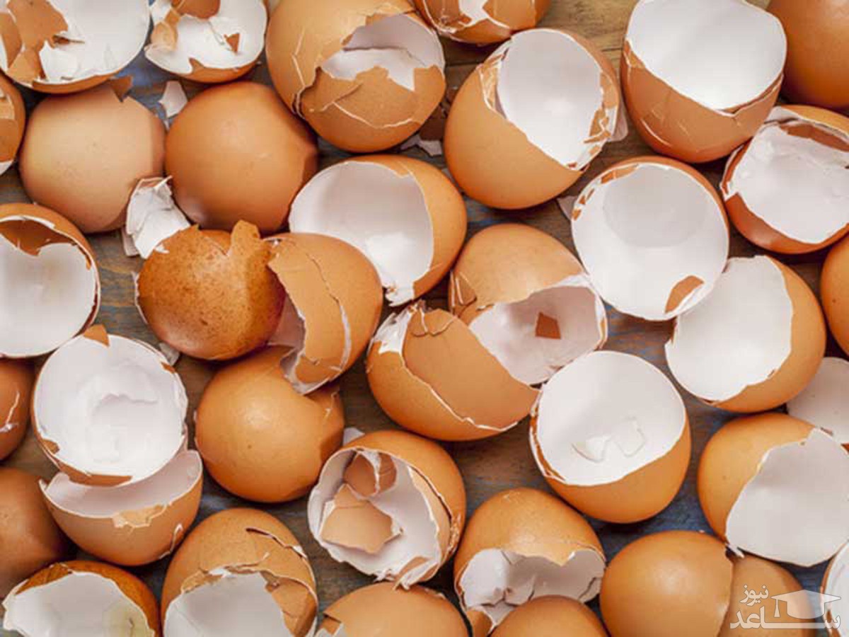 پوسته تخم مرغ چه خاصیت دارویی دارد