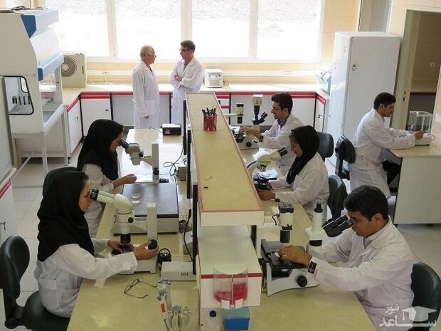 پذیرش دانشجوی دکتری تخصصی پژوهشی در علوم پزشکی مشهد