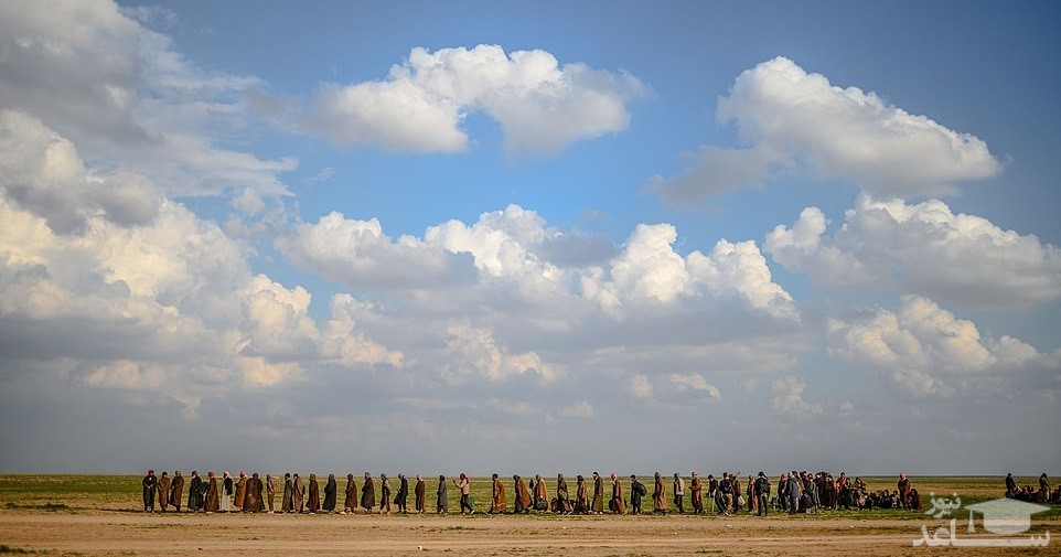 تصویر
