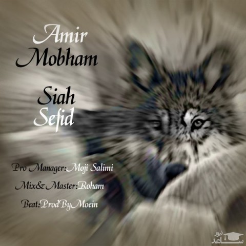 دانلود آهنگ سیاه و سفید از امیر مبهم