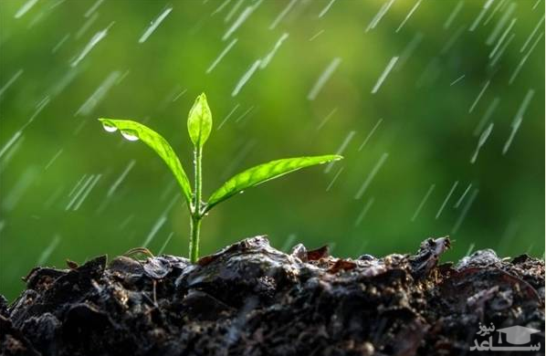 بارش‌ها از فردا در کشور تقویت می‌شود