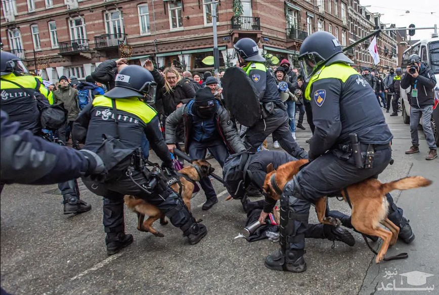استفاده پلیس شهر آمستردام هلند از سگ ها برای مقابله با تظاهرات معترضان ضدمحدودیت های کرونایی/ SOPA