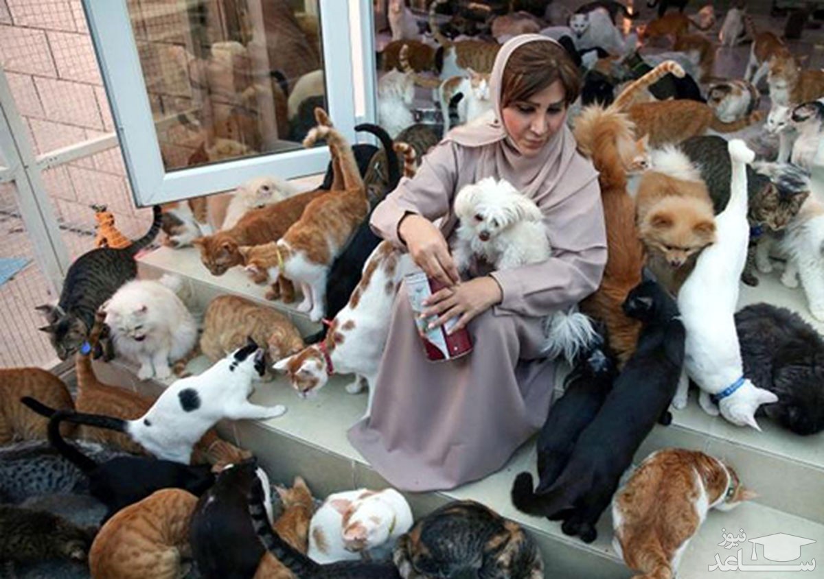 زندگی عجیب زن عمانی با ۵۰۰ گربه و سگ در خانه