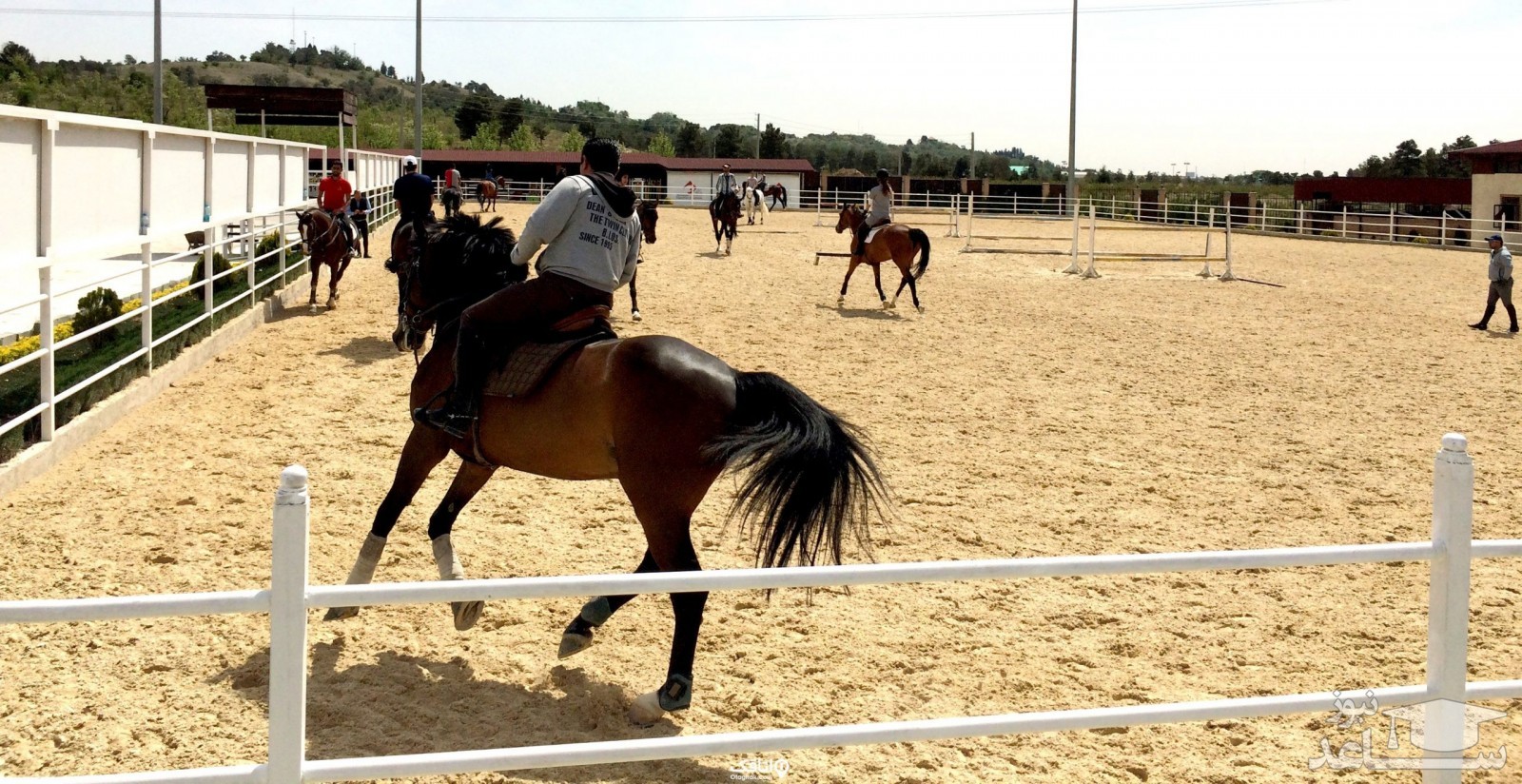 باشگاه سوارکاری 