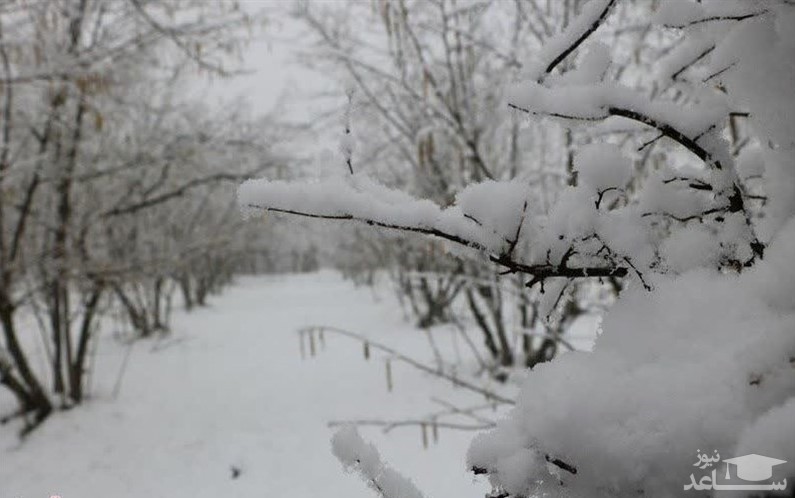 هواشناسی ایران امروز سه شنبه ۹۸/۱۲/۶ | برف و باران کشور را فرا می‌گیرد