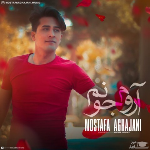 دانلود آهنگ آروم جونم از مصطفی آقا جانی